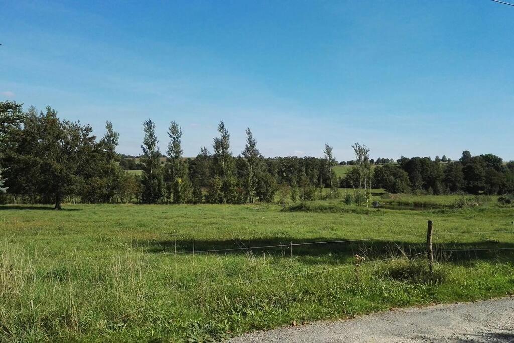Ferienwohnung In Mittelsaida Grosshartmannsdorf 外观 照片
