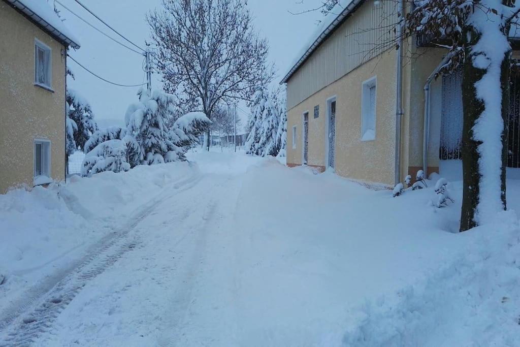 Ferienwohnung In Mittelsaida Grosshartmannsdorf 外观 照片